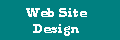 Professional Web Site Design